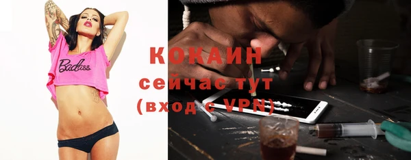 ПСИЛОЦИБИНОВЫЕ ГРИБЫ Абаза