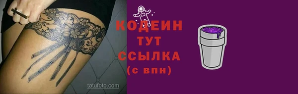 ПСИЛОЦИБИНОВЫЕ ГРИБЫ Абаза