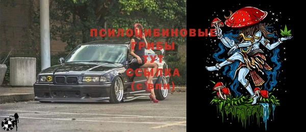 ПСИЛОЦИБИНОВЫЕ ГРИБЫ Абаза