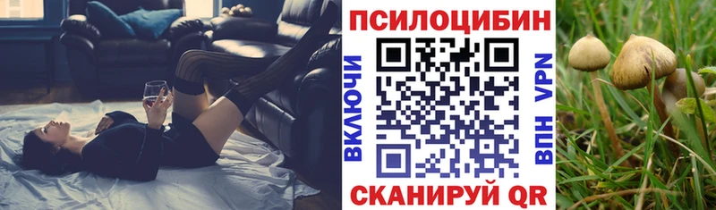 kraken ТОР  Шимановск  Псилоцибиновые грибы Magic Shrooms  наркошоп 